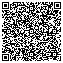 QR code with Public Storage contacts