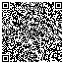 QR code with Public Storage contacts