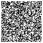 QR code with Springs Dry Cleaners Inc contacts