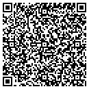 QR code with Publix Self Storage contacts