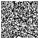 QR code with Psychodyne Systems Inc contacts