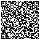QR code with Borisow Properties contacts