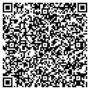 QR code with Copacetic Networking contacts