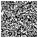 QR code with Cobra Contracting Inc contacts