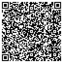 QR code with County Of Carver contacts