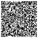 QR code with Progressive Computing contacts