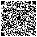 QR code with Public Storage contacts