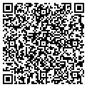 QR code with DrWrap contacts