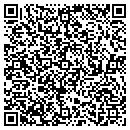 QR code with Practice Partner Inc contacts