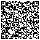 QR code with Chickasaw Telecom Inc contacts