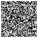 QR code with Blustar Construction contacts
