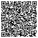 QR code with Feland contacts