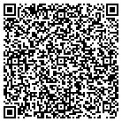 QR code with Block Olson Glass Service contacts