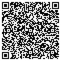 QR code with Rumors contacts