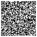 QR code with Princeton Storage contacts