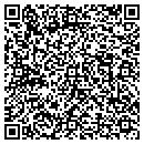 QR code with City Of Springville contacts