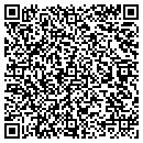 QR code with Precision Grading CO contacts