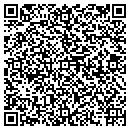 QR code with Blue Handyman Service contacts