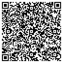 QR code with Push Push Theater contacts