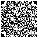 QR code with Publix Self Storage contacts