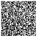 QR code with Promise in Glen Rose contacts