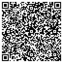 QR code with Pumilia Kenneth contacts