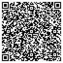 QR code with Chamness Technology contacts
