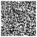 QR code with Central Paving Inc contacts