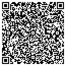 QR code with Punchys Diner contacts