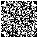 QR code with Pyrotex Inc contacts
