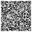 QR code with Blue Ridge Logging LLC contacts