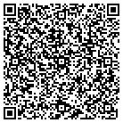 QR code with Public Safety Department contacts