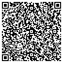 QR code with Cook County Sacy Team contacts