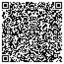 QR code with Chenango County Auditor contacts