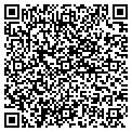 QR code with Storck contacts