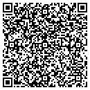 QR code with Puzzle Weights contacts