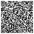 QR code with Carriers Auto Salvage contacts