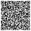 QR code with Constellation Tours contacts