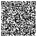 QR code with Curves contacts