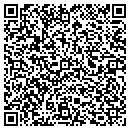 QR code with Precious Fabrication contacts