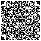 QR code with Ossi Construction Inc contacts