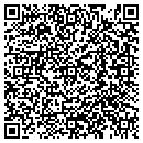 QR code with Pt Tours Inc contacts