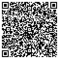 QR code with Buckle contacts