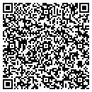 QR code with Cook Flatt & Strobel contacts
