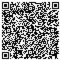 QR code with Biscuit contacts