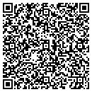 QR code with City Tours Direct Inc contacts