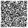 QR code with Lily's contacts