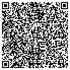 QR code with Chessie Energy Systems contacts