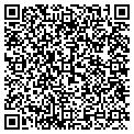 QR code with Vics Custom Tours contacts