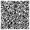 QR code with Carlins Consulting contacts